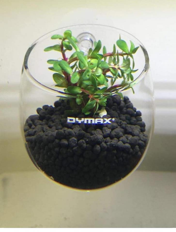 Dymax Crystal Cultivating Pot - Elegant Plant Holder For Aquascaping And Planted Tanks Supplies