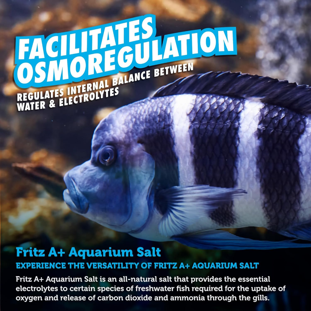 Fritz A + Aquarium Salt - All-Natural Solution For Healthy Fish & Stress Reduction! Water Additives