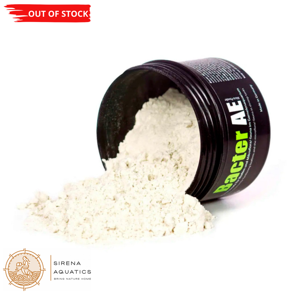 GlasGarten Bacter AE - Water additive for biofilm food of ornamental shrimp 35g