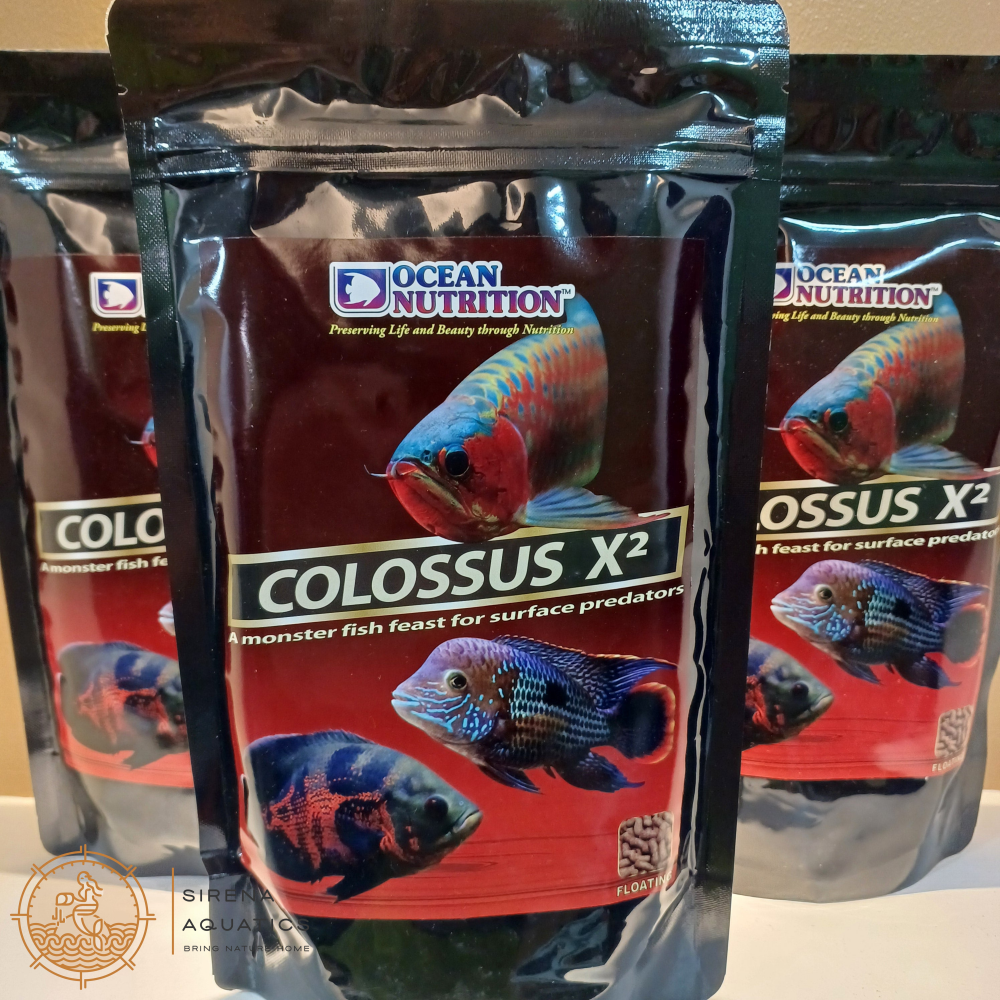 Ocean Nutrition Colossus XΒ² (Floating) Fish Food