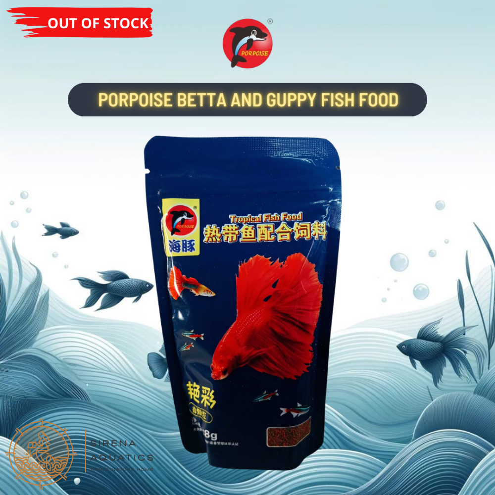 Porpoise Color Enhancing Tropical Fish Food - Bettas Guppys Tetras And Other Small Fish (88G)