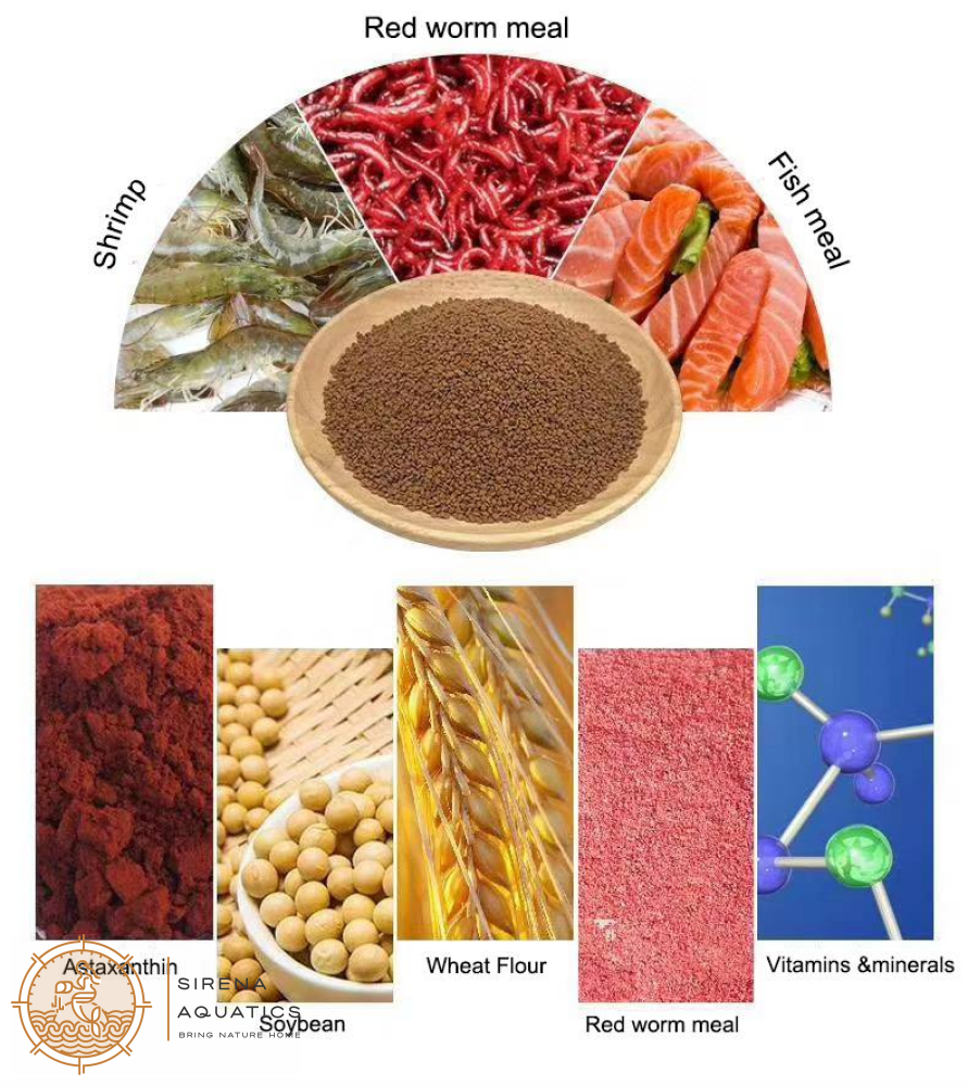 Porpoise Discus Food - Enhances Color And Good For Growing Out With 45% Protein (160G) Fish