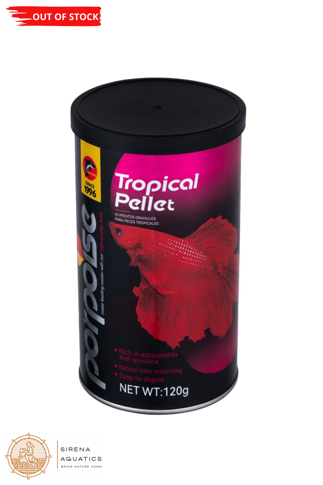 Porpoise Premium Tropical Pellet Fish Food For Guppies Tetras Bettas And More (120G)