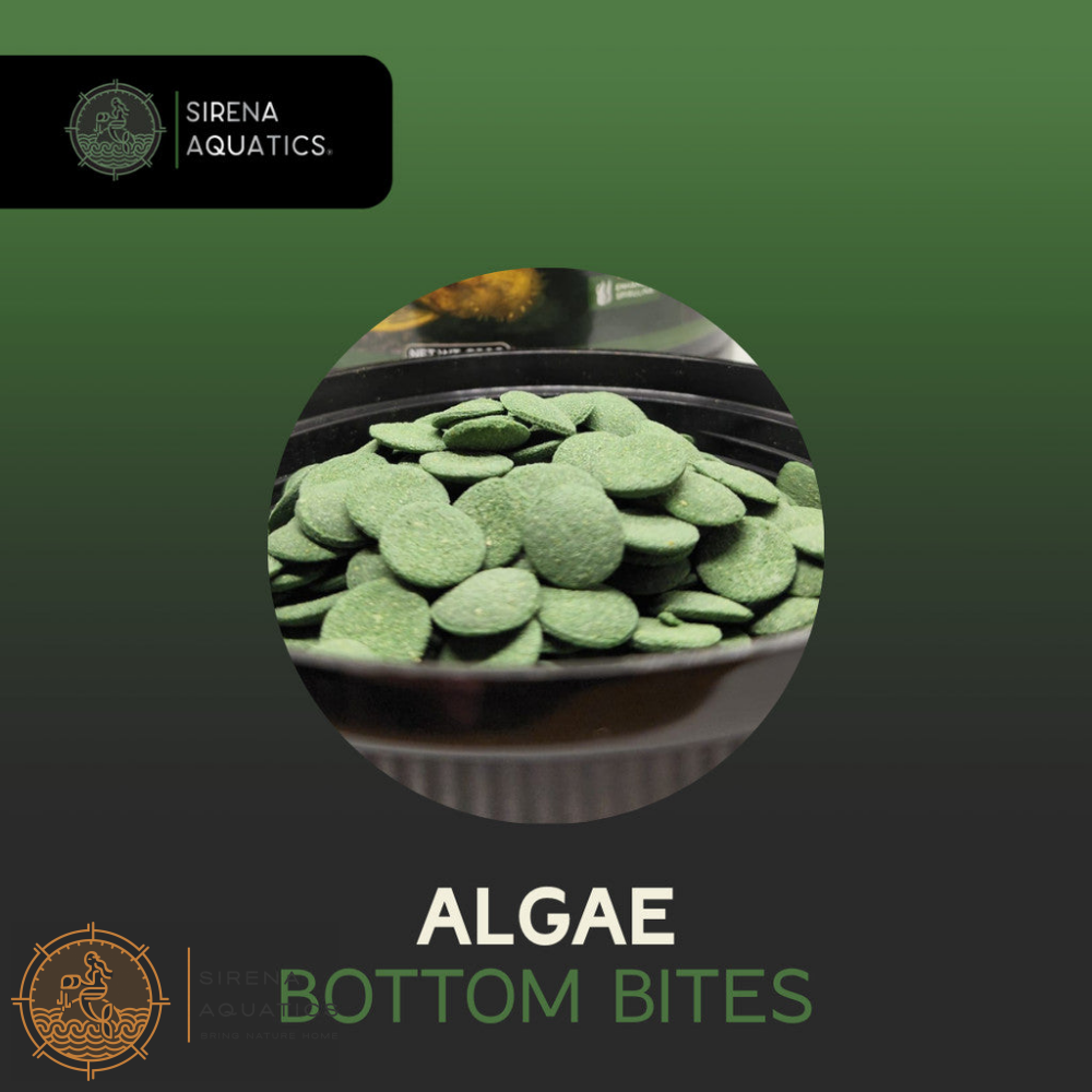 Sirena Aquatics Algae Bottom Bites For Bottom Dwelling Aquarium Fish 600g Fish Food