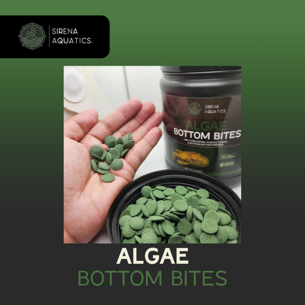 Sirena Aquatics Algae Bottom Bites For Bottom Dwelling Aquarium Fish 600g Fish Food
