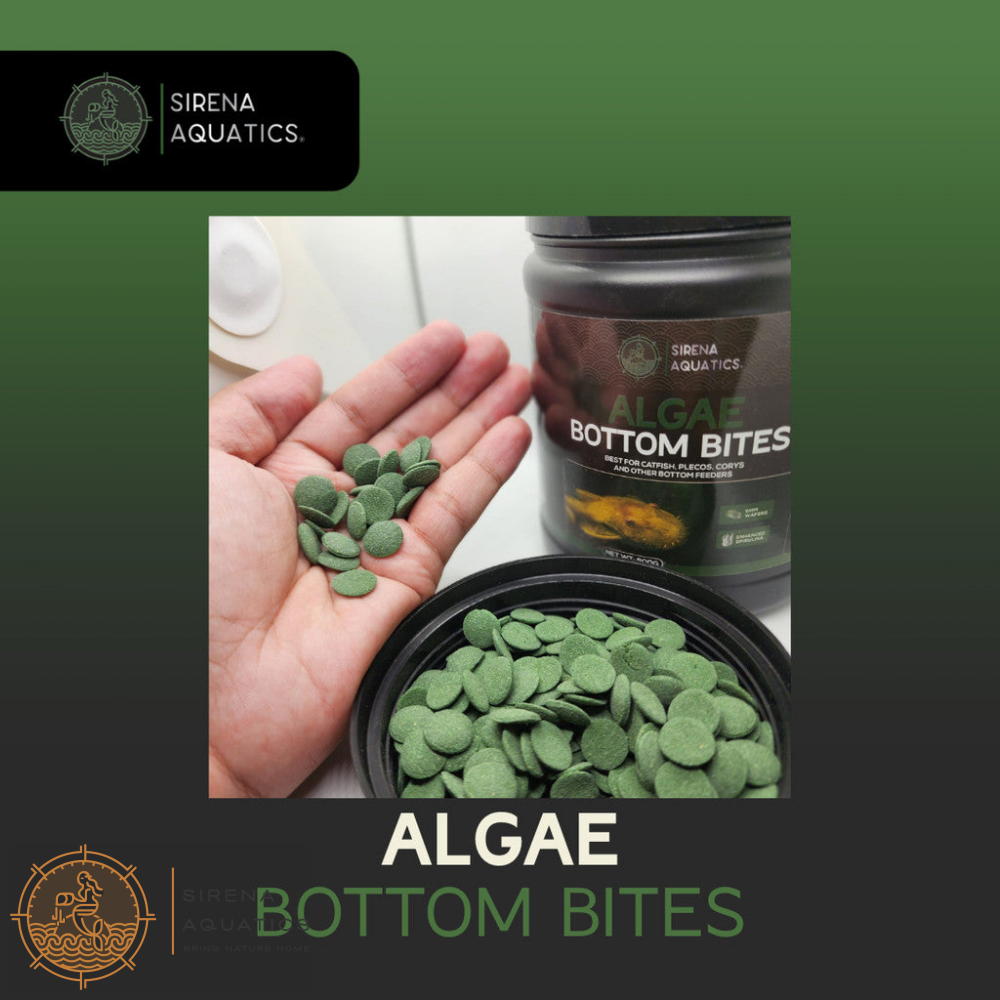 Sirena Aquatics Algae Bottom Bites For Bottom Dwelling Aquarium Fish 600g Fish Food