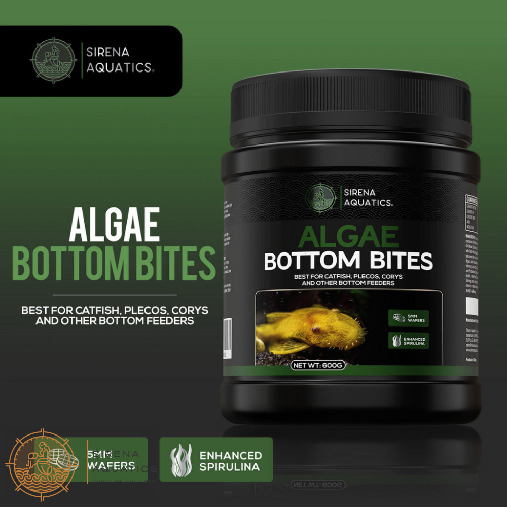 Sirena Aquatics Algae Bottom Bites For Bottom Dwelling Aquarium Fish 600g Fish Food