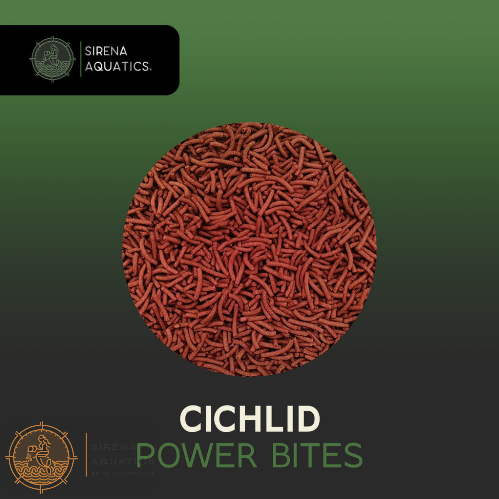 Sirena Aquatics Cichlid Power Bites - Slow Sinking High Protein Sticks for Community Aquarium Fish 500g
