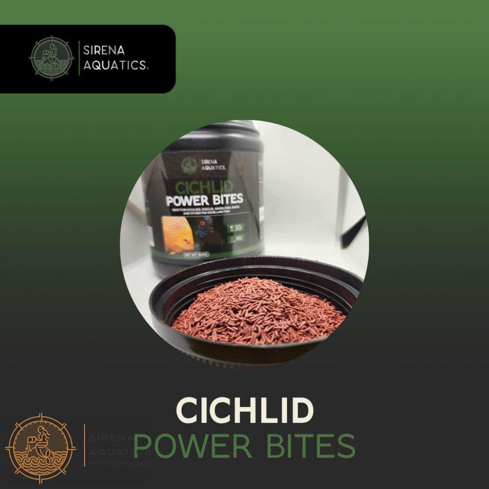 Sirena Aquatics Cichlid Power Bites - Slow Sinking High Protein Sticks for Community Aquarium Fish 500g