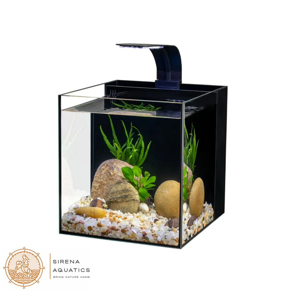 Yee All-In-One Desktop Aquarium: Stylish Nano Tank With Led Light & Back Filter For Fish Lovers