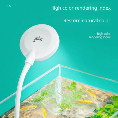 Nepall Mini Aquarium Light - Great For Betta Shrimp And Small Planted Tanks! Lighting
