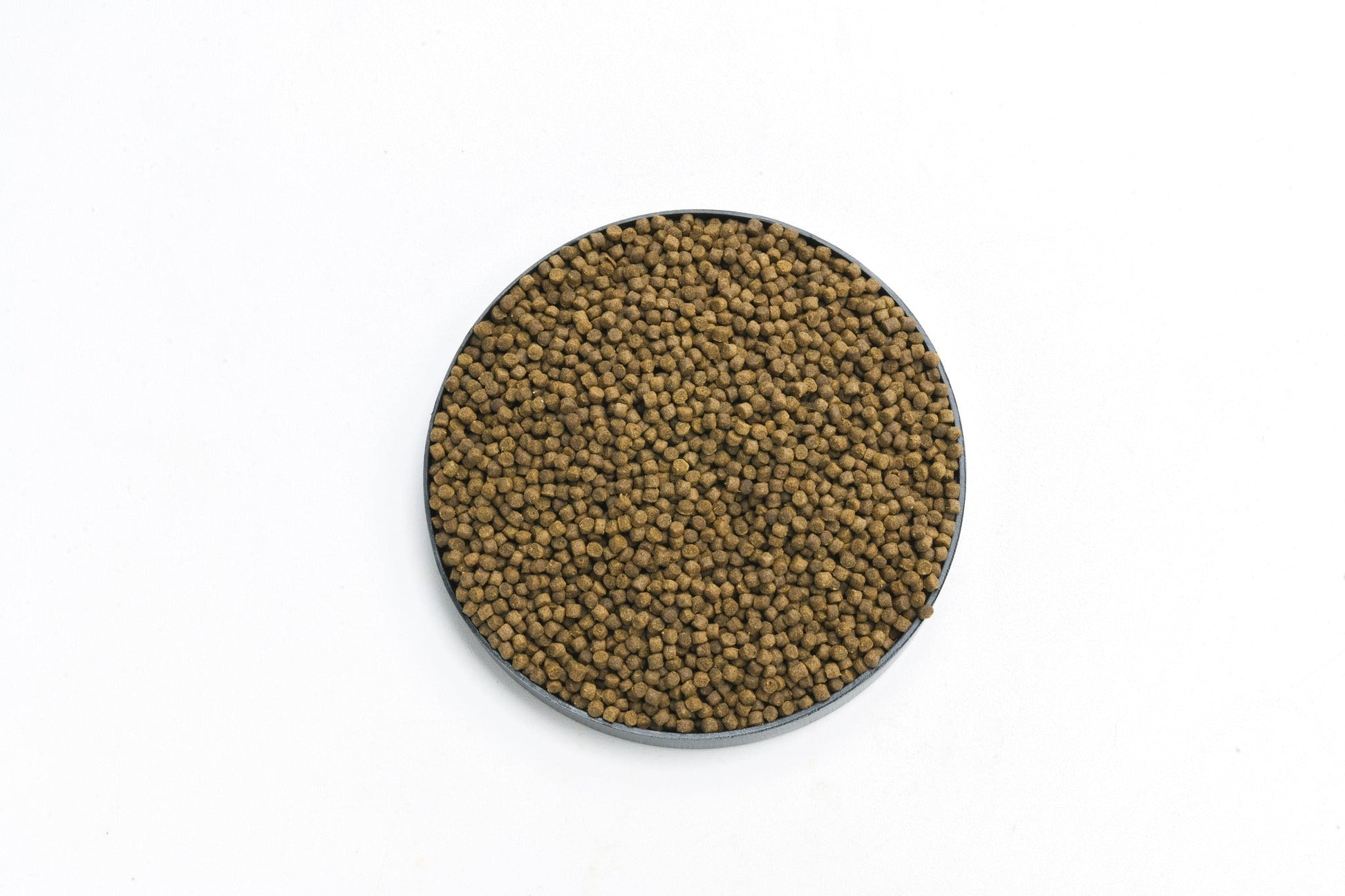Porpoise Premium Goldfish Food For Ranchus Orandas Etc. For Healthy Digestion (180G) Fish