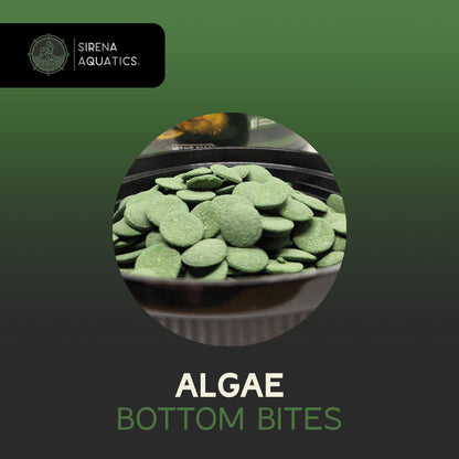Sirena Aquatics Algae Bottom Bites For Bottom Dwelling Aquarium Fish 600g Fish Food