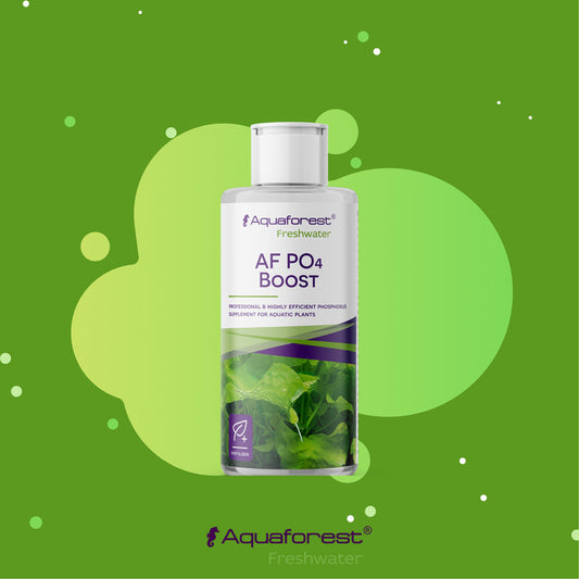 Aquaforest AF PO4 Boost - supplement of easily absorbable phosphorus for aquatic plants