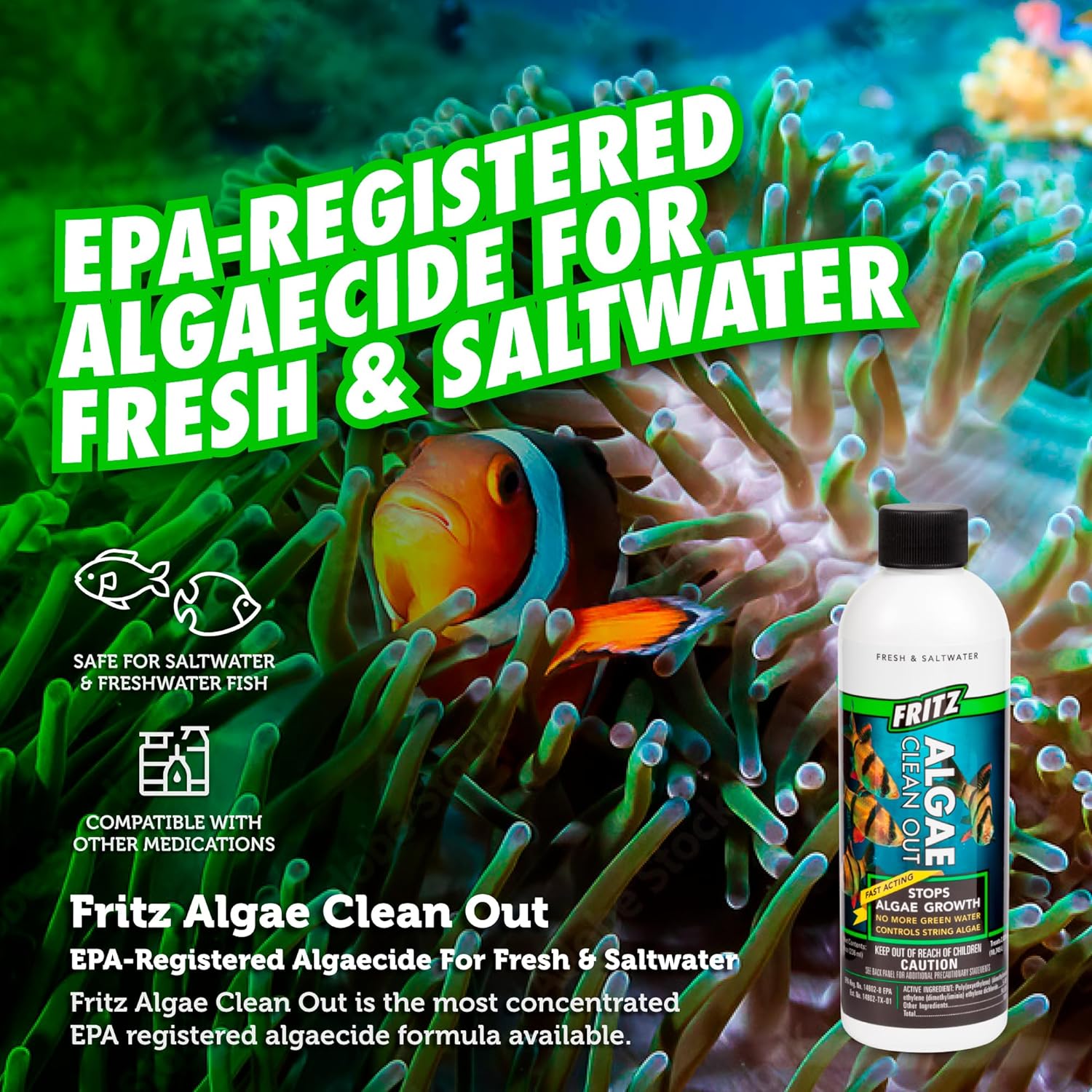Fritz Algae Clean Out - Powerful Algaecide For Freshwater & Saltwater Aquariums! (4Oz) Water