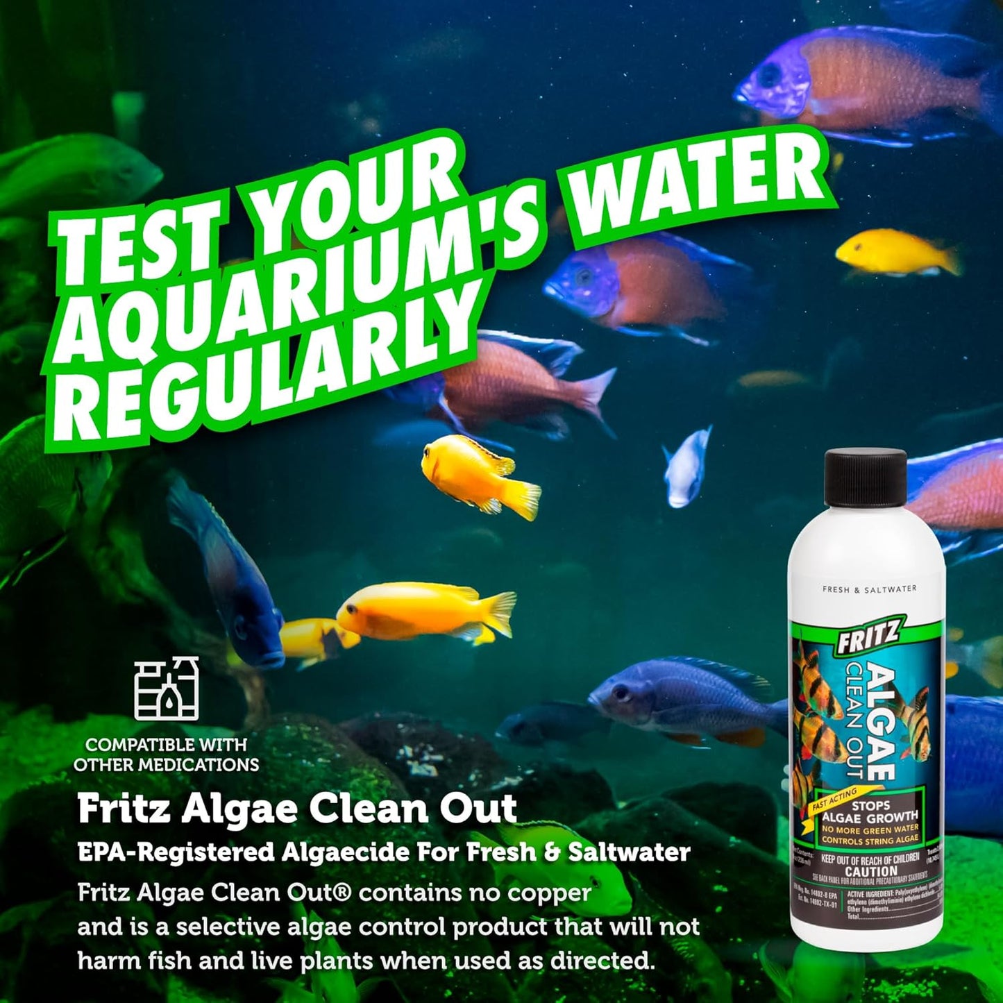 Fritz Algae Clean Out - Powerful Algaecide For Freshwater & Saltwater Aquariums! (4Oz) Water