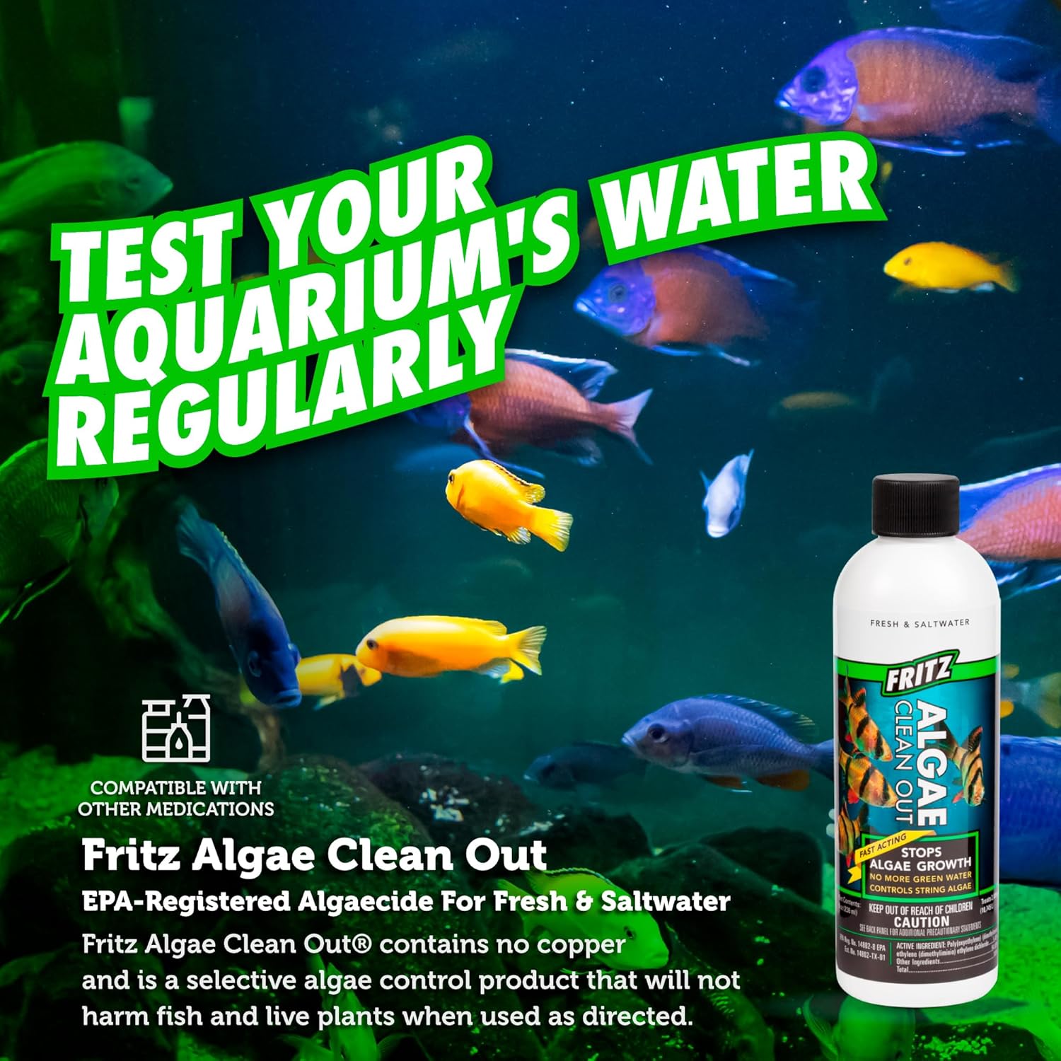 Fritz Algae Clean Out - Powerful Algaecide For Freshwater & Saltwater Aquariums! (4Oz) Water
