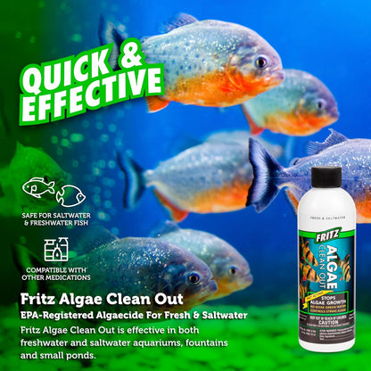 Fritz Algae Clean Out - Powerful Algaecide For Freshwater & Saltwater Aquariums! (4Oz) Water