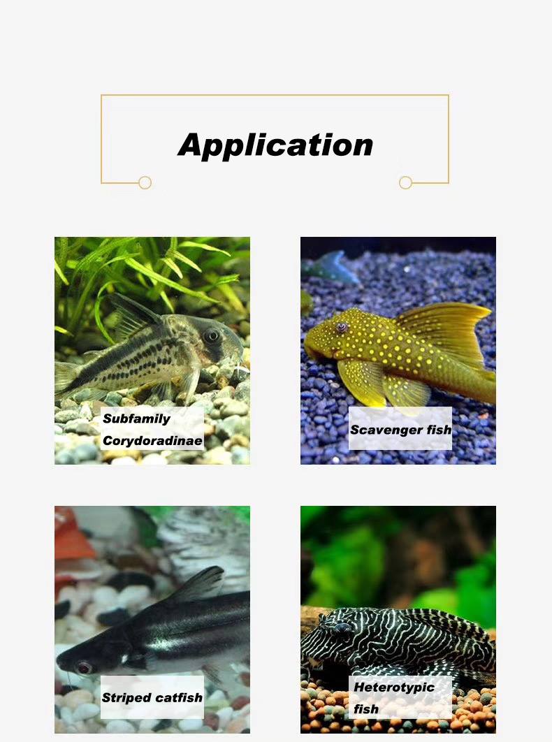 Porpoise Algae Wafers - Premium Food For Bottom Feeders Nutritious & Balanced Diet (160G) Fish