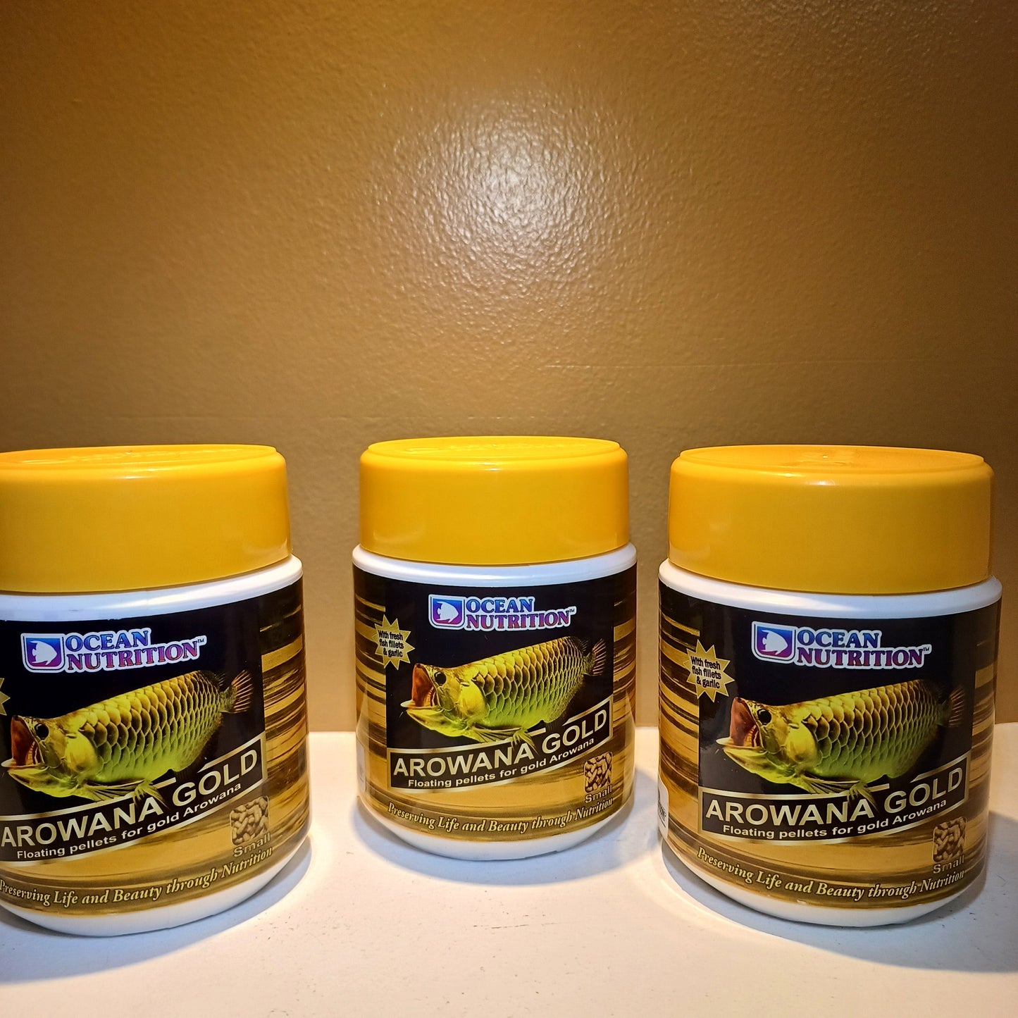 Ocean Nutrition Arowana Gold Small Fish Food