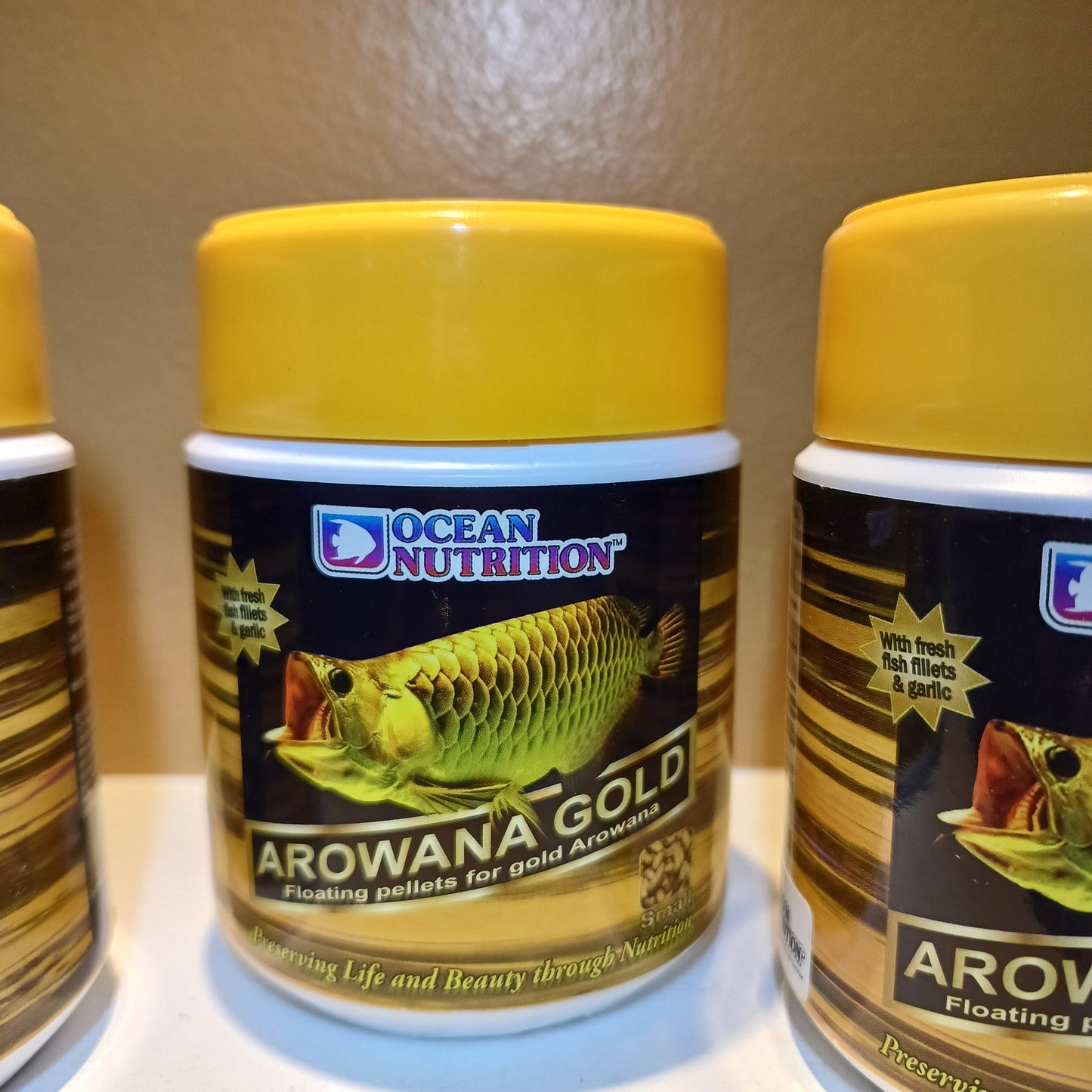 Ocean Nutrition Arowana Gold Small Fish Food