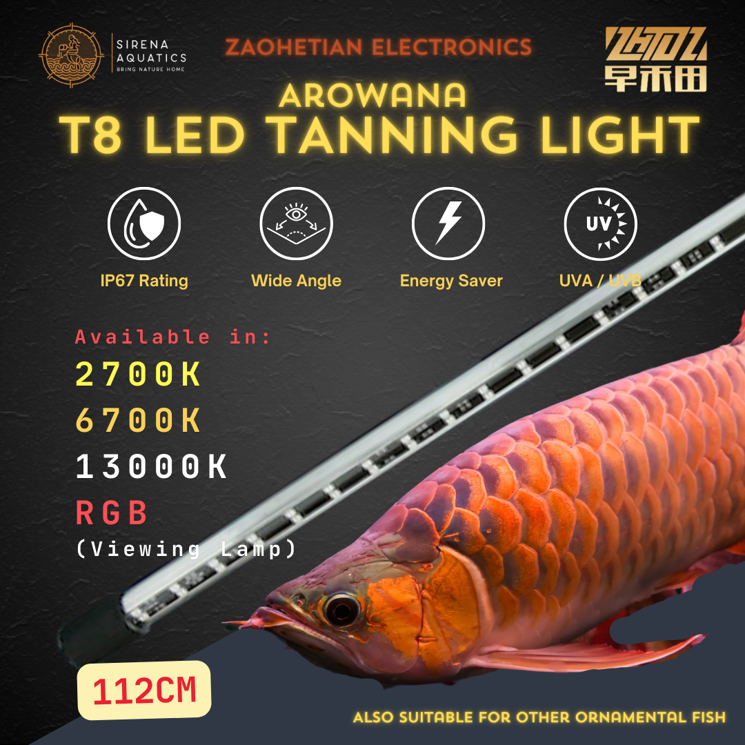 Zaohetian Arowana Tanning Light Led Lamp T8 With Uva/Uvb - 45W Wide Angle Ip67 Rating Aquarium