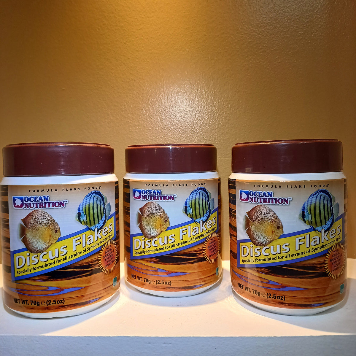 Discus Fish Flakes Ocean Nutrition Discus Flake - Boost for Coloration, Health, Growth ...