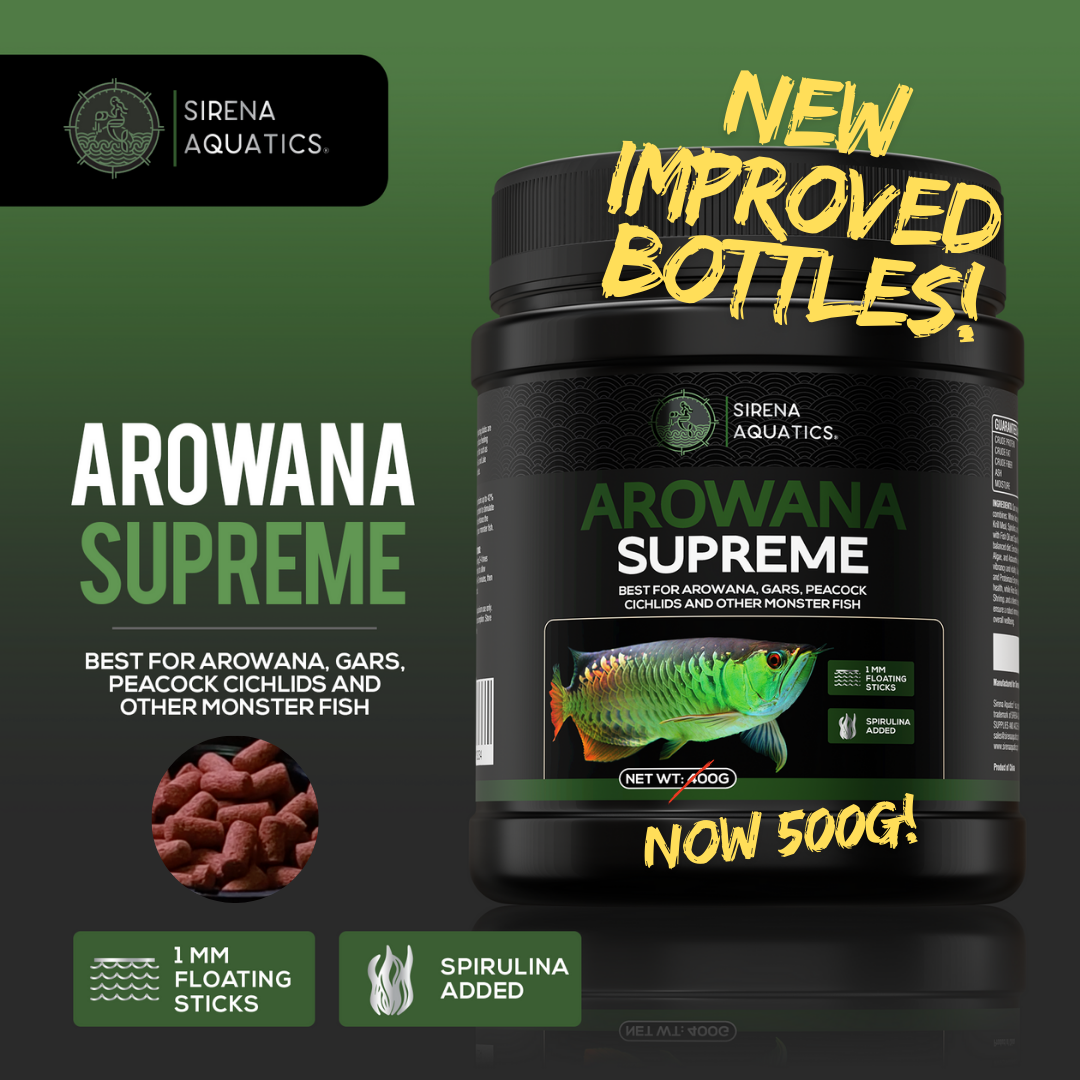 Sirena Aquatics Arowana Supreme 500g - Floating Sticks High Protein Food for Superior Growth 500g Fish Food