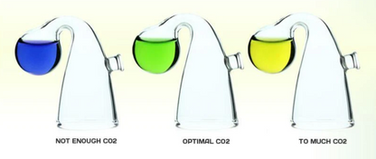 Dymax Co2 Indicator Solution 10Ml - Accurate Level Detection For Planted Tanks Aquascaping Supplies