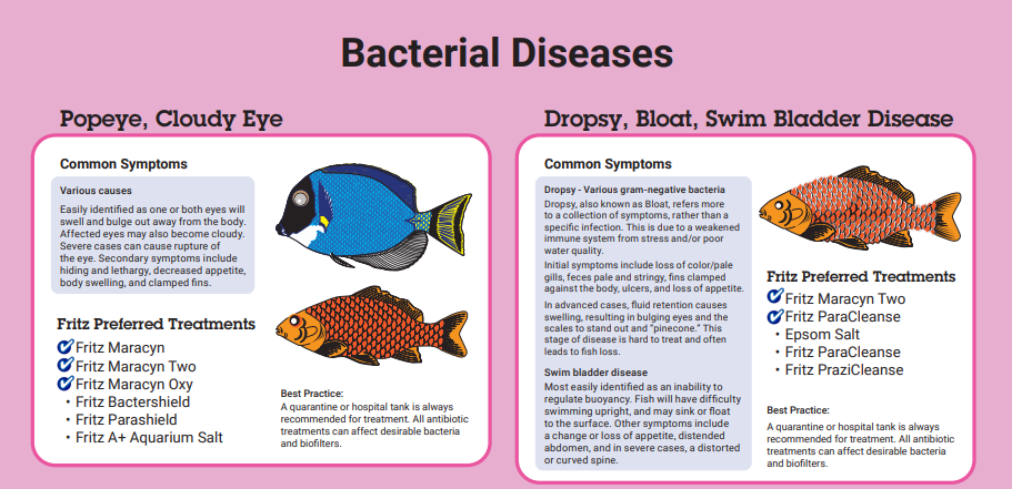Fritz Bactershield® - Boost Fish Health & Protect Against Infections! Water Additives