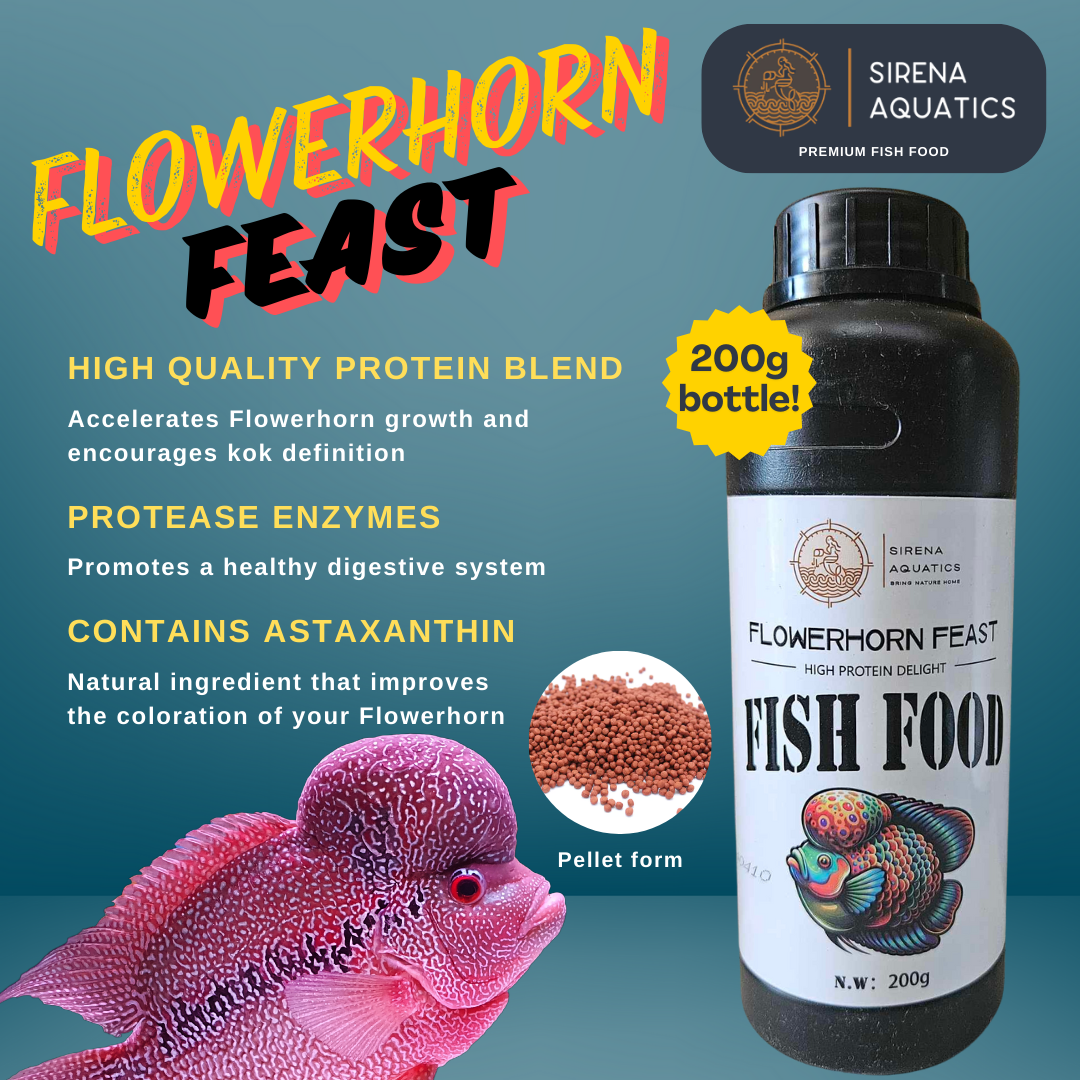 Sirena Aquatics Flowerhorn Feast Premium Fish Food - With Protease Enzymes And Asthaxanthin