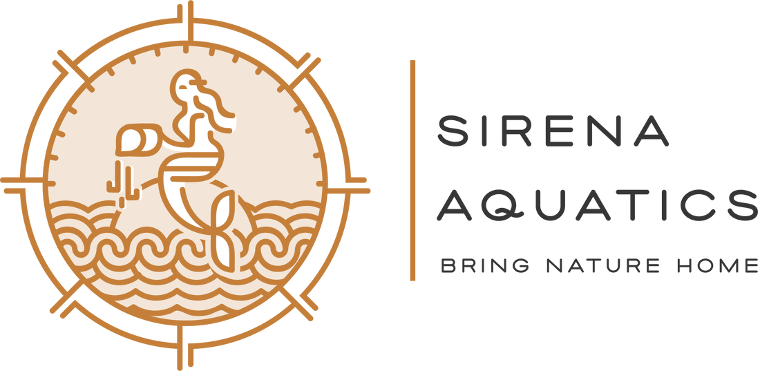 Sirena Aquatics Logo