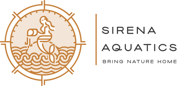 Sirena Aquatics Logo