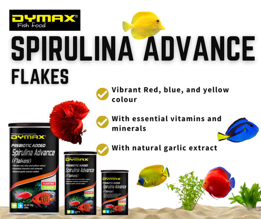 Dymax Spirulina Advance (Flakes) - Nutrient-Rich Food For Vibrant Colors Of Aquarium Fish