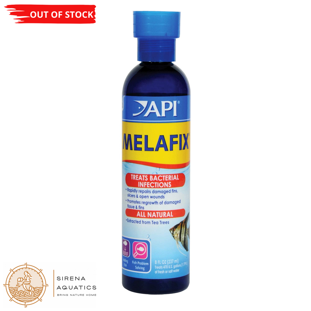 Api Melafix Antibacterial Treatment For Common Fish Infections (4Oz) 8Oz Water Additives