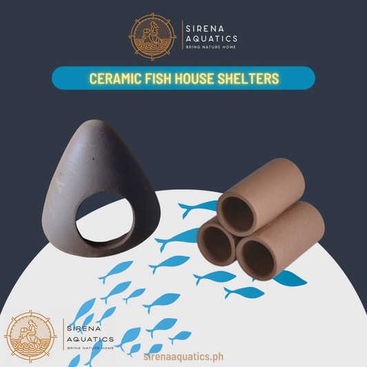 Ceramic Fish House Shelters - Good For Plecos Shrimp Crayfish And Other Aquarium Decor