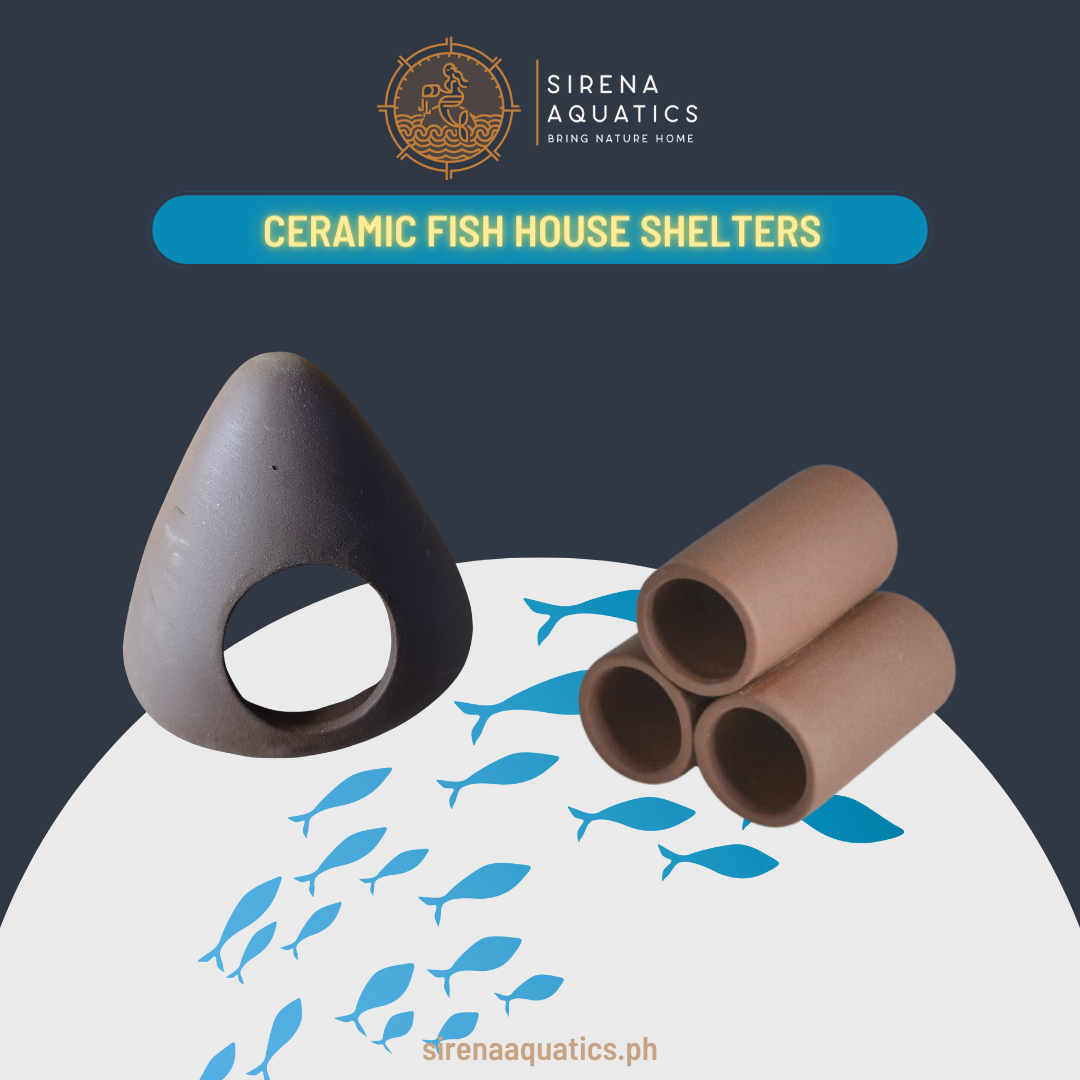 Ceramic Fish House Shelters - Good For Plecos Shrimp Crayfish And Other Aquarium Decor