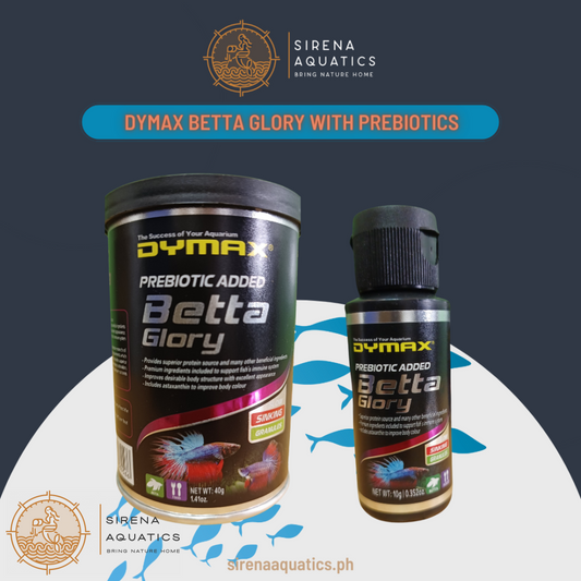 Dymax Betta Glory Nutrient Enriched Sinking Granules for Color & Vitality Enhancement Fish Food