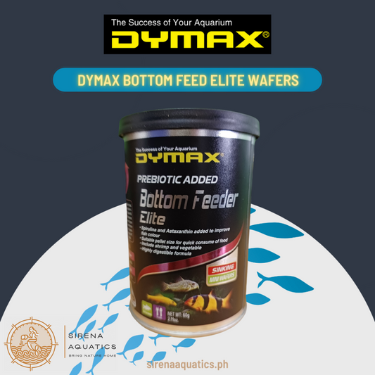 Dymax Bottom Feeder Elite - Nutrient-Packed Mini Wafers For Health & Color (60G) Fish Food