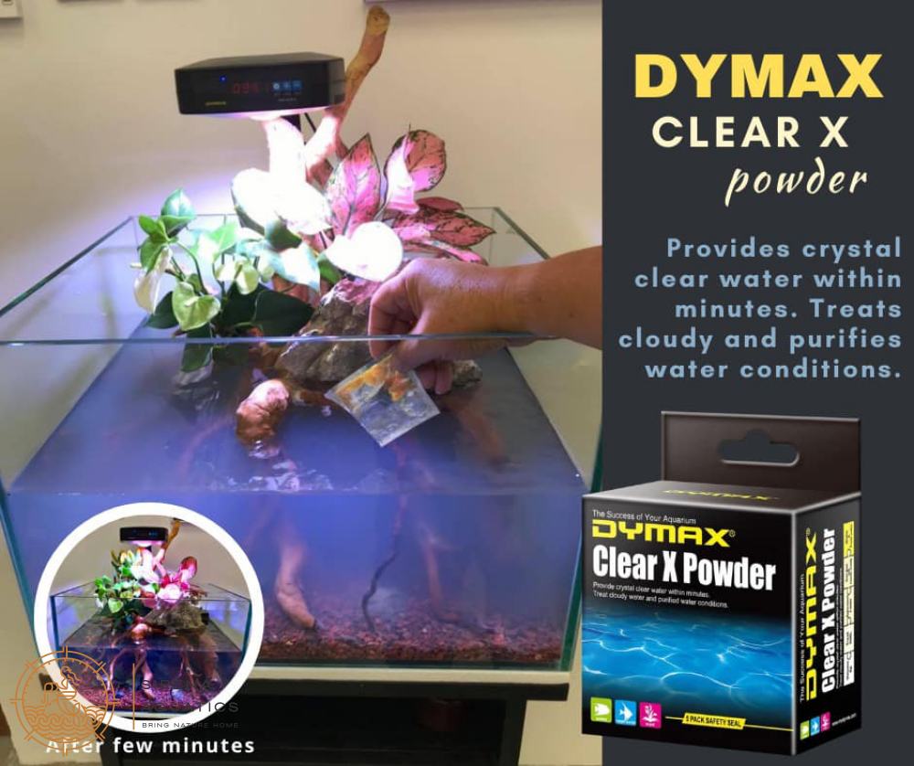 Dymax Clear X Powder - Water Clarifying Solution For Aquariums Aquarium Treatments