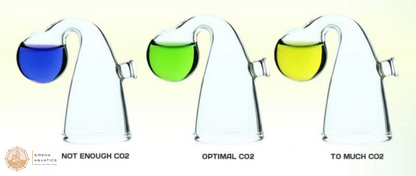 Dymax Co2 Indicator Solution 10Ml - Accurate Level Detection For Planted Tanks Aquascaping Supplies