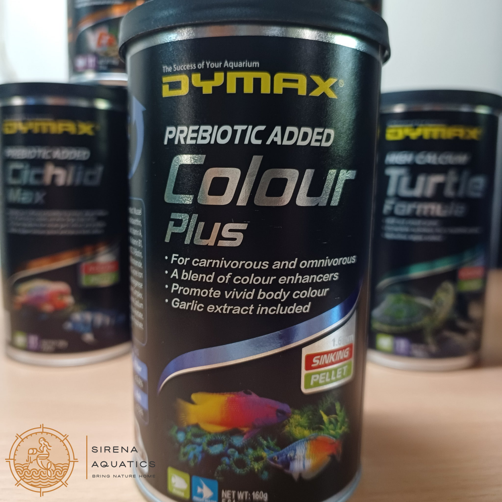 Dymax Colour Plus (Small Pellet) - High-Quality Color Enhancing Fish Food For Grooming 160G