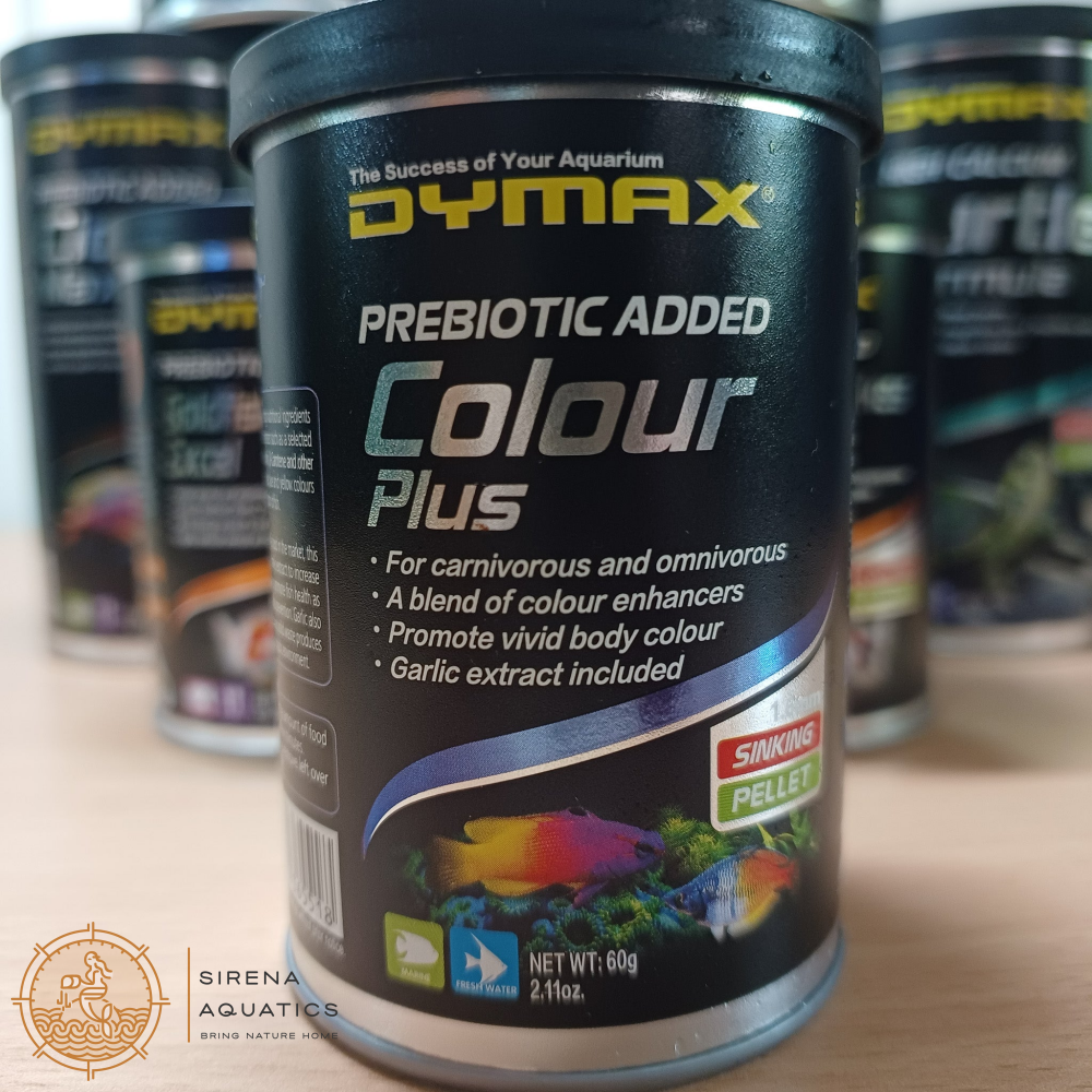 Dymax Colour Plus (Small Pellet) - High-Quality Color Enhancing Fish Food For Grooming 60G