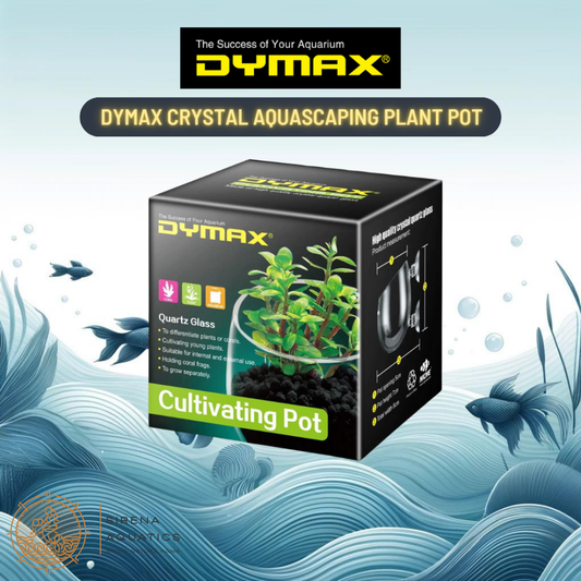 Dymax Crystal Cultivating Pot - Elegant Plant Holder For Aquascaping And Planted Tanks Supplies