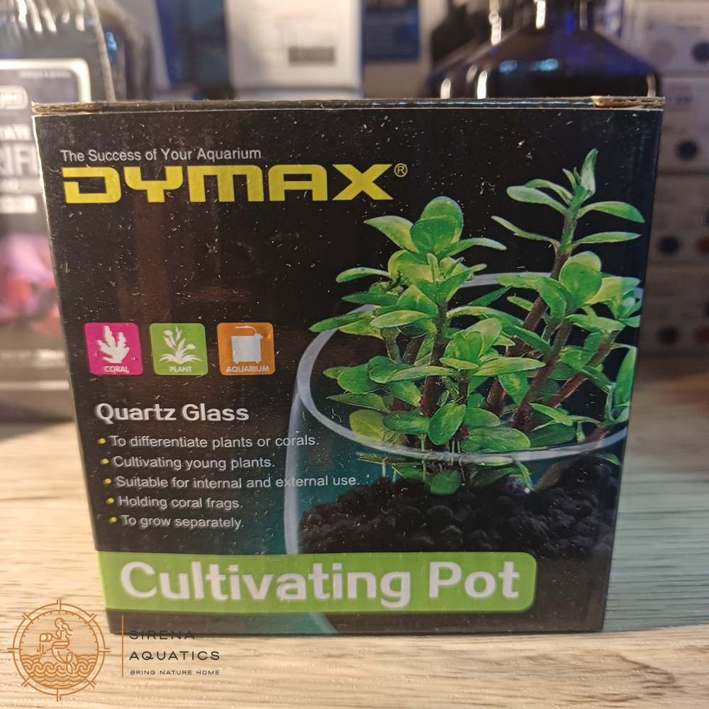 Dymax Crystal Cultivating Pot - Elegant Plant Holder For Aquascaping And Planted Tanks Supplies