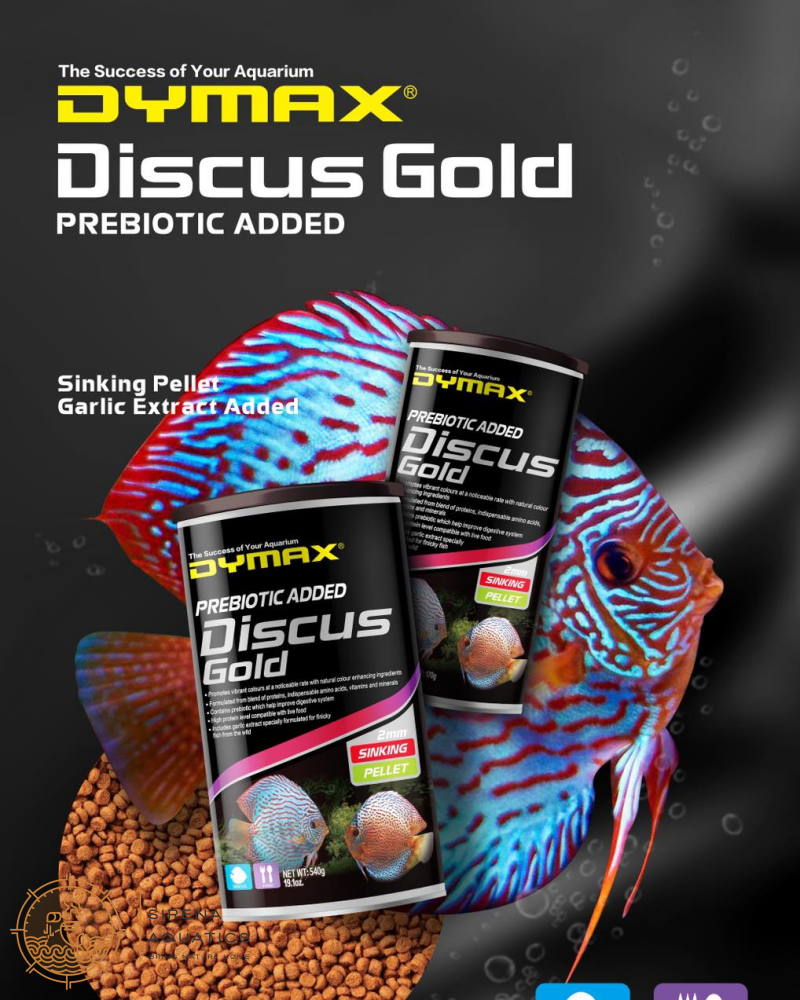 Dymax Discus Gold Sinking Pellets With Garlic Extract - Protein-Rich Diet For Species (170G) Fish