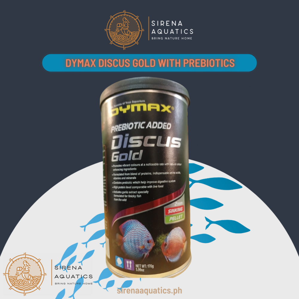 Dymax Discus Gold Sinking Pellets with Garlic Extract Protein Rich Diet for Discus Species (170g) 170g Fish Food
