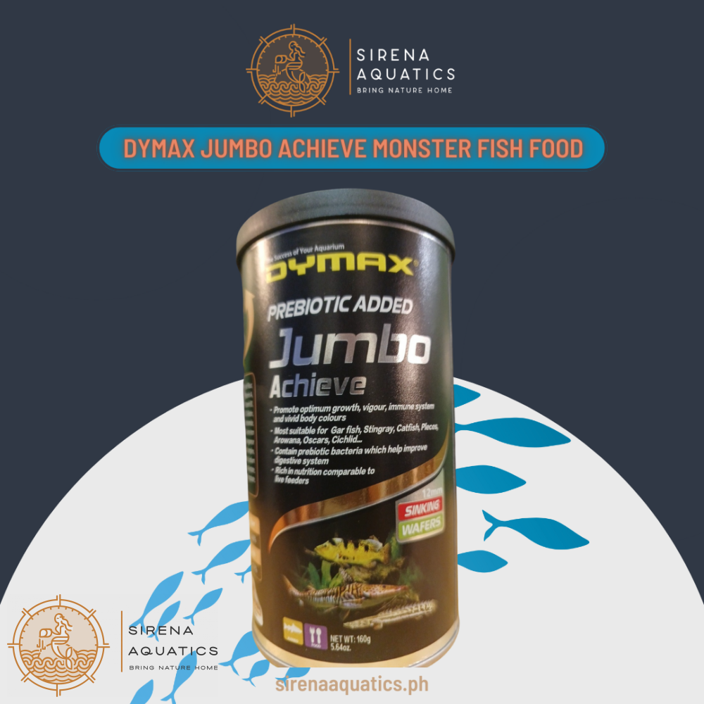 Dymax Jumbo Achieve Sinking Wafers for Carnivorous Fish with Prebiotic Bacteria - Promotes Health and Vigor (160g) 160g