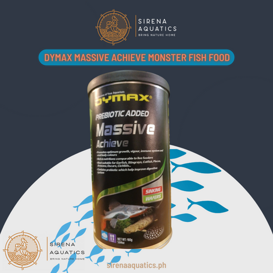 Dymax Massive Achieve Sinking Wafers - High Protein Fish Food for Garfish Stingrays Catfish and More (160g) 160g Fish