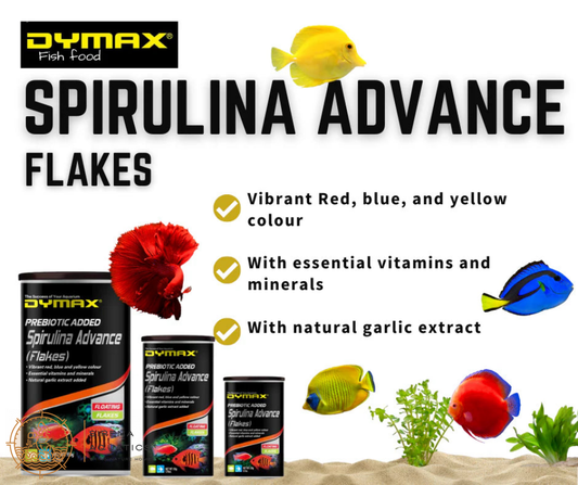 Dymax Spirulina Advance (Flakes) - Nutrient-Rich Food For Vibrant Colors Of Aquarium Fish